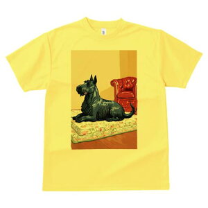 XReBbVeA TVc fB[X t@  t  vg JWA 킢 lԗp h ̃fUC ʔ ֎q XReBbVeA NbV 