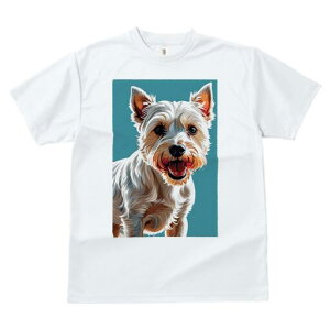 EGXgnChzCgeA TVc fB[X t@  t  vg JWA 킢 lԗp h ̃fUC ʔ EGXgnChzCgeA