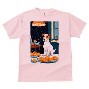 WbNbZeA TVc fB[X t@  t  vg JWA 킢 lԗp h ̃fUC ʔ p WbNbZeA v  e[u