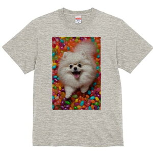 |jA TVc Y LbY t@  t  vg JWA 킢 lԗp h ̃fUC ʔ WF[r[Y |jA Jt XC[c 