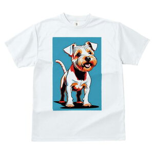 m[tH[NeA TVc fB[X t@  t  vg JWA 킢 lԗp h ̃fUC ʔ m[tH[NeA