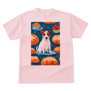 WbNbZeA TVc fB[X t@  t  vg JWA 킢 lԗp h ̃fUC ʔ p WbNbZeA P[L fU[g 