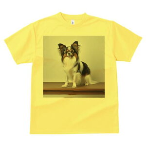 ` TVc Y LbY t@  t  vg JWA 킢 lԗp h ̃fUC ʔ Kl `