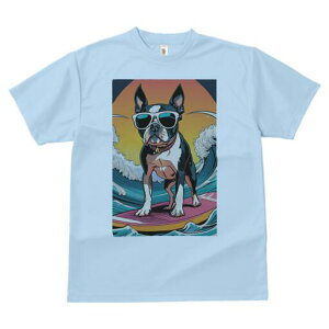 {XgeA TVc fB[X t@  t  vg JWA 킢 lԗp h ̃fUC ʔ T[tB {XgeA g TOX 