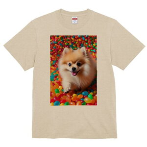 |jA TVc fB[X t@  t  vg JWA 킢 lԗp h ̃fUC ʔ LfB |jA Jt XC[c َq