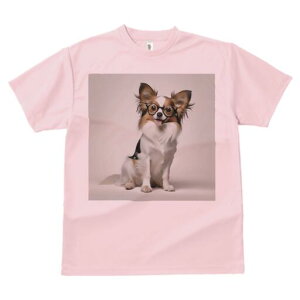 ` TVc Y LbY t@  t  vg JWA 킢 lԗp h ̃fUC ʔ Kl `