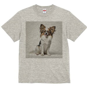 ` TVc Y LbY t@  t  vg JWA 킢 lԗp h ̃fUC ʔ Kl `