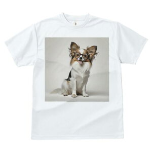 ` TVc Y LbY t@  t  vg JWA 킢 lԗp h ̃fUC ʔ Kl `