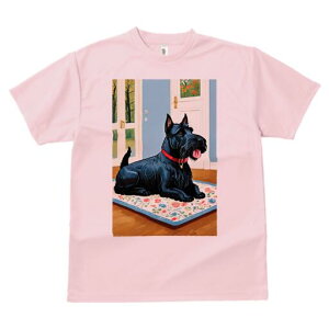 XReBbVeA TVc fB[X t@  t  vg JWA 킢 lԗp h ̃fUC ʔ hA XReBbVeA  J[ybg 