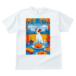 WbNbZeA TVc fB[X t@  t  vg JWA 킢 lԗp h ̃fUC ʔ H WbNbZeA ʕ fU[g 