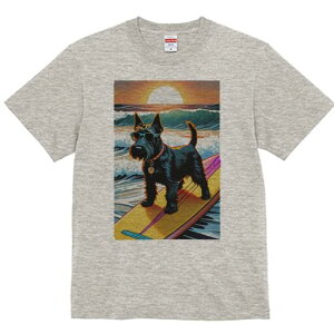 XReBbVeA TVc Y LbY t@  t  vg JWA 킢 lԗp h ̃fUC ʔ T[tB XReBbVeA C z g