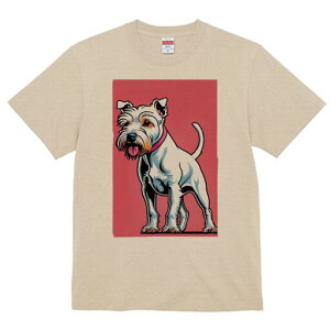 EGXgnChzCgeA TVc fB[X t@  t  vg JWA 킢 lԗp h ̃fUC ʔ  EGXgnChzCge