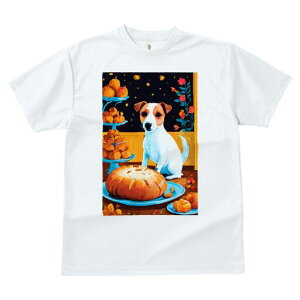 WbNbZeA TVc fB[X t@  t  vg JWA 킢 lԗp h ̃fUC ʔ p WbNbZeA P[L fU[g 