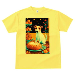 WbNbZeA TVc fB[X t@  t  vg JWA 킢 lԗp h ̃fUC ʔ p WbNbZeA P[L fU[g 