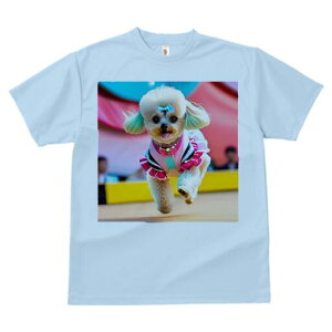 gCv[h TVc fB[X t@  t  vg JWA 킢 lԗp h ̃fUC ʔ { gCv[h  lbNX