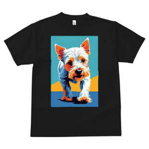 m[b`eA TVc fB[X t@  t  vg JWA 킢 lԗp h ̃fUC ʔ m[b`eA