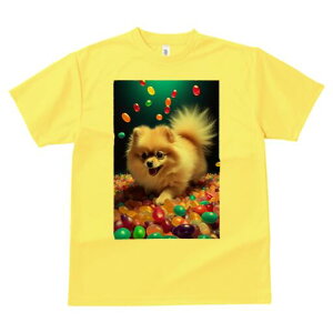 |jA TVc fB[X t@  t  vg JWA 킢 lԗp h ̃fUC ʔ LfB |jA Jt XC[c َq