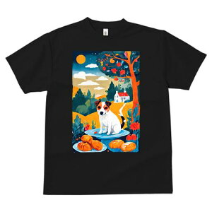 WbNbZeA TVc fB[X t@  t  vg JWA 킢 lԗp h ̃fUC ʔ i WbNbZeA   ʕ