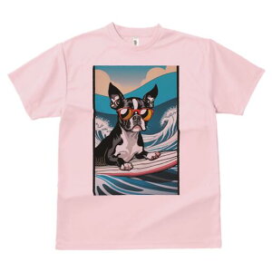 {XgeA TVc fB[X t@  t  vg JWA 킢 lԗp h ̃fUC ʔ TOX {XgeA T[tB g 