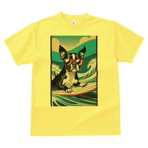 {XgeA TVc fB[X t@  t  vg JWA 킢 lԗp h ̃fUC ʔ TOX {XgeA T[tB g 