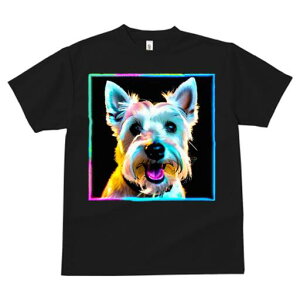 EGXgnChzCgeA TVc Y LbY t@  t  vg JWA 킢 lԗp h ̃fUC ʔ EGXgnChzCge