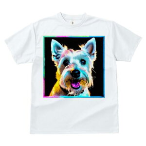 EGXgnChzCgeA TVc fB[X t@  t  vg JWA 킢 lԗp h ̃fUC ʔ EGXgnChzCgeA