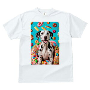 _VA TVc Y LbY t@  t  vg JWA 킢 lԗp h ̃fUC ʔ h[ic _VA XC[c َq Jt