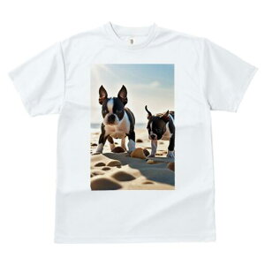 {XgeA TVc fB[X t@  t  vg JWA 킢 lԗp h ̃fUC ʔ l {XgeA Lk C