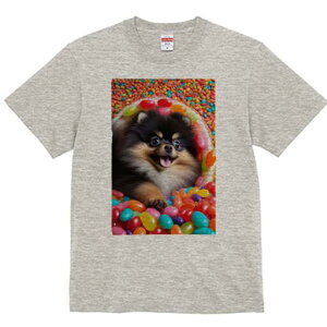 �|�����j�A�� T�V���c ���f�B�[�X ���t�@�� ���� �t�� ���� �v�����g �J�W���A�� ���킢�� �l�ԗp ���h ���������̃f�U�C�� �ʔ� �L�����f�B �|�����j�A�� �J���t�� �X�C�[�c ���َq