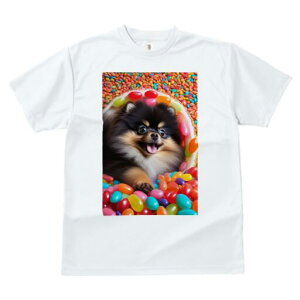 |jA TVc fB[X t@  t  vg JWA 킢 lԗp h ̃fUC ʔ LfB |jA Jt XC[c َq