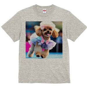 gCv[h TVc fB[X t@  t  vg JWA 킢 lԗp h ̃fUC ʔ { gCv[h `[ hX 