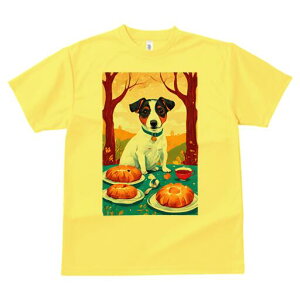 WbNbZeA TVc fB[X t@  t  vg JWA 킢 lԗp h ̃fUC ʔ p WbNbZeA g H 