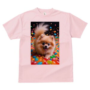 |jA TVc Y LbY t@  t  vg JWA 킢 lԗp h ̃fUC ʔ LfB |jA Jt XC[c َq