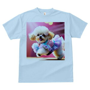 }`[Y TVc fB[X t@  t  vg JWA 킢 lԗp h ̃fUC ʔ hX }`[Y 킢 t@bV