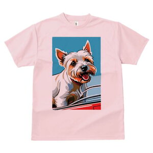 EGXgnChzCgeA TVc fB[X t@  t  vg JWA 킢 lԗp h ̃fUC ʔ EGXgnChzCgeA