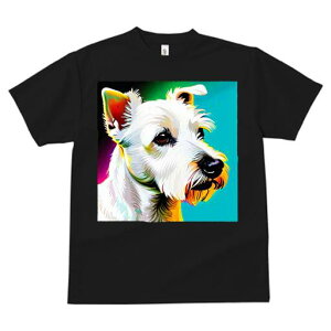 EGXgnChzCgeA TVc fB[X t@  t  vg JWA 킢 lԗp h ̃fUC ʔ EGXgnChzCgeA