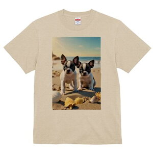 {XgeA TVc fB[X t@  t  vg JWA 킢 lԗp h ̃fUC ʔ r[` {XgeA C  Lk