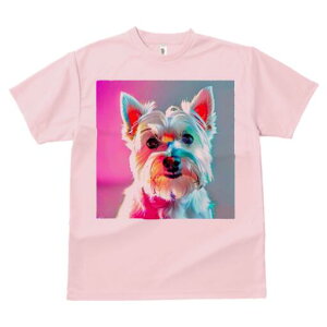 EGXgnChzCgeA TVc fB[X t@  t  vg JWA 킢 lԗp h ̃fUC ʔ EGXgnChzCgeA