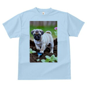 pO TVc fB[X t@  t  vg JWA 킢 lԗp h ̃fUC ʔ  pO  y A