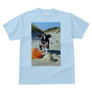 {XgeA TVc fB[X t@  t  vg JWA 킢 lԗp h ̃fUC ʔ r[` {XgeA  Lk 