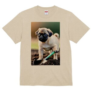 pO TVc fB[X t@  t  vg JWA 킢 lԗp h ̃fUC ʔ y pO Vx 