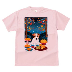 WbNbZeA TVc Y LbY t@  t  vg JWA 킢 lԗp h ̃fUC ʔ  WbNbZeA  P[L M