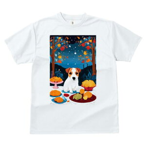 WbNbZeA TVc fB[X t@  t  vg JWA 킢 lԗp h ̃fUC ʔ  WbNbZeA  P[L M