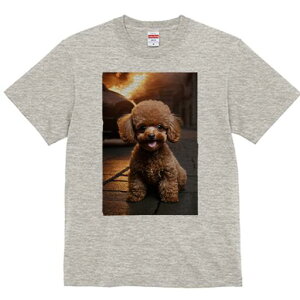 gCv[h TVc fB[X t@  t  vg JWA 킢 lԗp h ̃fUC ʔ  gCv[h 