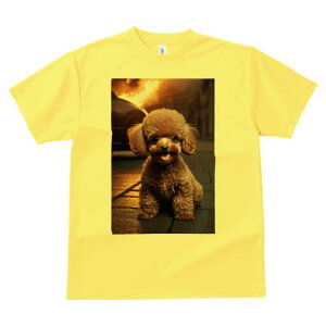 gCv[h TVc fB[X t@  t  vg JWA 킢 lԗp h ̃fUC ʔ  gCv[h 