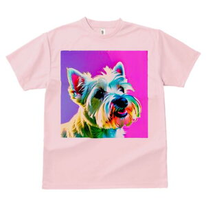 EGXgnChzCgeA TVc fB[X t@  t  vg JWA 킢 lԗp h ̃fUC ʔ EGXgnChzCgeA