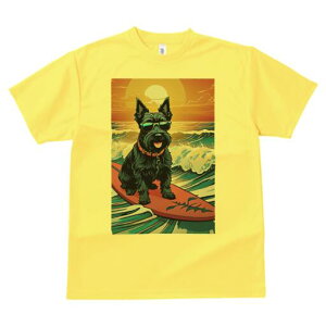 XReBbVeA TVc Y LbY t@  t  vg JWA 킢 lԗp h ̃fUC ʔ g XReBbVeA C T[tB T