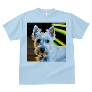 EGXgnChzCgeA TVc fB[X t@  t  vg JWA 킢 lԗp h ̃fUC ʔ wi EGXgnChzCge