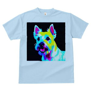 EGXgnChzCgeA TVc fB[X t@  t  vg JWA 킢 lԗp h ̃fUC ʔ EGXgnChzCgeA