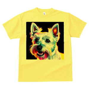 EGXgnChzCgeA TVc fB[X t@  t  vg JWA 킢 lԗp h ̃fUC ʔ EGXgnChzCgeA